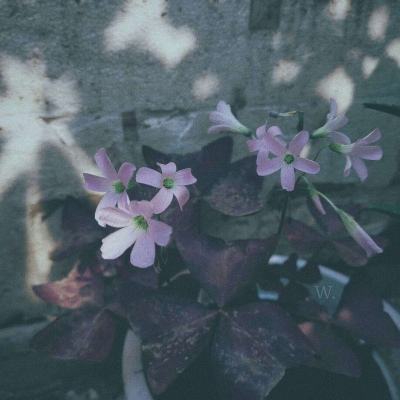 yabo官网网页版app下载